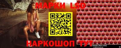 ECSTASY Гай